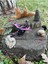 Elite Minecraft Ender Dragon Hareketli Aksiyon Figür Ejderha 20 cm 1 Adet 2