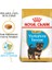Yorkshire Terrier Puppy Yavru Köpek Maması 1,5 Kg 1