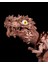 Elite Jurassic World T-Rex Hareketli Oyuncak Jurassic Park Trex Oyuncak 14CM 1 Adet 5