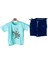 Erkek Çocuk Koala Baskılı Mint T-Shirt Bağcıklı Lastikli Şort İkili Takım 3