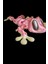 Elite Pembe 3D Oyuncak Kertenkele 1 Adet 1