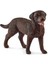 Elite 13834 Schleich - Dişi Labrador Retriever +3 Yaş 1 Adet 1