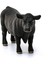 Elite CFW13879 Schleich Angus Boğa Siyah 1 Adet 2