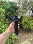 Elite Master Sword Katana Katlanabilir Kılıç Sert Plastik 1 Adet 3