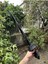 Elite Sword Katlanabilir Katana Kılıç Sert Plastik 1 Adet 4