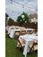 5 Metre 10 Duylu Eklenebilir Sıralı Bahçe, Kafe, Teras, Balkon Armatürü IP64 Iç Dış Mekan (Ampulsüz) 7