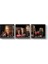 Tabloshop Şarap Mahseni Panorama Tablo 156 x 50-3 Parçalı 1