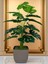 Yapay Ağaç Monstera Deve Tabanı Bitkisi 18 Yaprak 75CM Plastik Saksıda Yapay Salon Çiçeği Hediyelik 1
