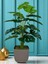 Yapay Ağaç Monstera Deve Tabanı Bitkisi 18 Yaprak 75CM Plastik Saksıda Yapay Salon Çiçeği Hediyelik 5