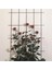 Çiçek Destek Kafesi Yeşil 60*150CM 2