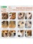 Nature's Protection Superior Care Kızıl/Kahverengi Tüylü Köpekler için Somonlu Tahılsız Küçük Irk Köpek Maması 1,5kg 3