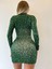 Yeşil Leopar Desenli Kruvaze Yaka Mini Elbise 3