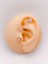 Cerrrahi Çelik Piercing ( Pirsing ) Pembe Taşlı Şık Kalpli Tragus Helix Piercing (1ADET) 1