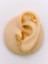 Cerrrahi Çelik Piercing ( Pirsing ) Sallantılı Damla Taşlı Kanat Tragus Helix Piercing (1ADET) 1