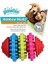 Pawise Rainbow World Dişli 8 cm 1