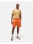 Jordan Essentials Fleece SS23 Erkek Şort 1