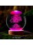 Premium Kristal Cam Kar Küresi 3D Işıklı Rgb'li Lamba Ahşap Taban LED Dekoratif Usb'li Hediyelik Seti 2