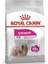 Royal Canin Ccn Mini Exigent Köpek Maması, 3 kg 1