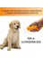 Ultrasonik Köpek Uzaklaştırıcı Cihaz 2