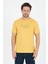 Erkek %100 Pamuk Bisiklet Yaka Kısa Kollu Baskılı T-Shirt Rahat ve Şık Günlük Erkek Tişört 0011 1