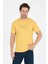 Erkek %100 Pamuk Bisiklet Yaka Kısa Kollu Baskılı T-Shirt Rahat ve Şık Günlük Erkek Tişört 0011 3