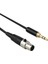 3.5mm Jack 3pin Mini Xlr Dişi BM800 Pc Kulaklık Mikser Mikrofon Stereo Kamera Amplifikatör 0.3 M (Yurt Dışından) 2