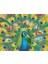 2000 Parça Land Of The Peacock Puzzle 1