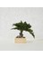 Bakım Gerektirmeyen El Yapımı Juniper Bonsai | 31 cm Doğal Dekoratif Masa Üstü Ağaç | Zen & Minimalist Stil 4