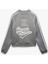 Harvard Lisanslı Fermuarlı Şardonlu Baskılı Sweatshirt 4