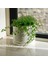 Aztek Desenli Modern Saksı 3