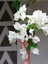 Çok Satan Beyaz Renkli Begonvil Çiçeği (40 60 Cm)1 Adet Tüplü Iç/dış Mekan Bitkisi Bougainvillea 4