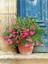 Çok Satan Pembe Zakkum Çiçeği (50 70 Cm)1 Adet Saksılı Çiçekli Bahçe / Balkon Bitkisi Nerium Oleander 3