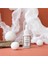 Asfstore Bee'o Up Apibeauty Kırışklık Karşıtı Göz Çevresi Serum 15 ml 7