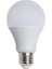 Beyaz LED Ampul E27 Normal Duylu 2