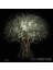 Trees - Irene Kung 1