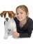 & Doug Dev Peluş Köpek Jack Russel Terrier (14867) 3