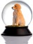 Cam ve Reçine Altın Patiler Köpek Golden Retriever Kar Küresi Hediye 2