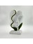 Bakım Gerektirmeyen Yosunlu Büst Heykel | 3D Baskı Modern Dekor | Doğal Korunmuş Yosunlu Minimalist Heykelcik (15X24 Cm) 5