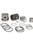 87 Piston Segman Std Caddy Iıı 04- 1.9 Tdı Bjb Avb 105 Ps 3 4 Sılınd 1