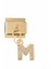 M Harfli Çelik Gold Charm 1