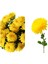 Çok Satan 2 Adet Sarı Kasımpatı Çiçeği 15-25 cm Tüplü Çiçekli Bodur Bitkiler Chrysanthemum 1