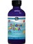 Nordic Naturals Children's Dha Çilek Tadı 119 ml 1