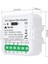 Mini Zigbee Iki Çıkışlı Anahtar (Tuya, Smart Life, Home Assistant, ZIGBEE2MQTT Uyumlu) 2