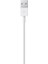 Lightning - USB Kablosu (1 M) 2
