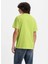 Levis Bisiklet Yaka Baskılı Yeşil Erkek T-Shirt A2823-0194 GRAPHIC CREWNECK TEE 2