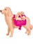 Evi Köpeği ve 3 Yavrusu SMB-105733072 3