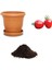 Nadir Tomatoberry Domates Tohumu 10 Adet Ekim Seti 1