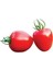 Nadir Tomatoberry Domates Tohumu 10 Adet Ekim Seti 2