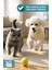 Kedi Köpek Herbal Worm Stop Bitkisel Tablet 250 Mg+ Anti Spot On Bitkisel Damla 1 ml Bit Pire Kene Köpek Iç Dış Parazit Kedi Iç Dış Parazit Köpek Ödül Ödülü Tableti Kedi Ödül Tableti 4