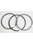 91 75-50 Segman 0.50 Clıo Kangoo Symbol 1.5dcı K9K 792 Euro3 1
